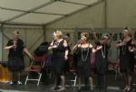Ordsall Festival 2011
